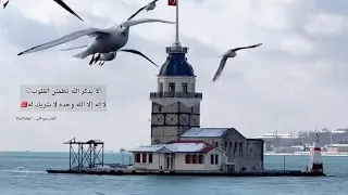 ألا بذكر الله تطمئن القلوب آيات قرآنية قصيرة حالات وتس أب دينية مقاطع انستغرام قصيرة 