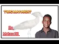 Twic Mayardit~Makou Bil 