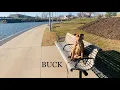 1 Yr American Pitt Bull Terrier Lab Mix Best Training Off Leash K9 Board Train Oklahoma