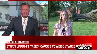 Storm uproots trees causes power outages
