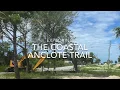 Exploring the Coastal Anclote Trail in its early stages