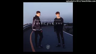 Martin Garrix Troye Sivan There For You Audio 