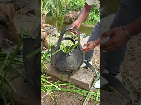 गाय 🐄 का पर्स 🤯 Master Ashish। #shorts #jugaad #master