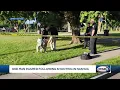 1 man injured in shooting at Nashua park