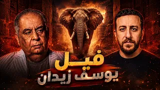 صدق الله وكذب يوسف زيدان.. أصحاب الفيل حقيقة أم خرافة؟ (بالأدلة الأثرية)