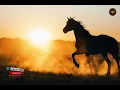 🌟 Dios y Madre | La Canción MÁS BELLA para Dedicarle a Tu Mamá 💖 | CORRIDOS DE FE 🎶