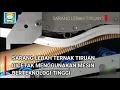 cina memproduksi madu palsu