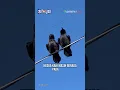 Download Lagu Kenapa Burung Nggak Kesetrum di Kabel Listrik