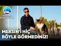 Lagu Akdeniz'in İncisi Mersin'de Keşif Zamanı!🚗