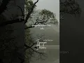 Download Lagu Andre Mastijan - Teganya Dirimu #andremastijan #teganyadirimu #laguviral #tiktok #lagupopuler