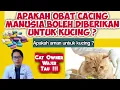 Download Lagu APAKAH OBAT CACING MANUSIA BOLEH DIBERIKAN UNTUK KUCING ? || OBAT CACING KUCING || drh Mirza Yusa