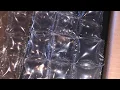 Air Jordan 1 Spiderman from StockX real