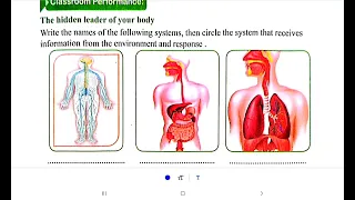 Science G4 Class Performance Homework 5 حل أسئلة الأداء الصفى و المنزلى ساينس رابعه ابتدائى ترم اول 