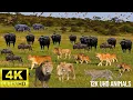 Download Lagu 4K African Wildlife: Etosha National Park, Namibia - Scenic Wildlife Film With African Music