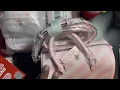 Victoria s Secret handbag and accessories haul 25