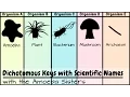Dichotomous Keys Identification Achievement Unlocked