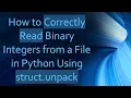 How to Correctly Read Binary Integers from a File in Python Using struct unpack