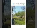 Download Lagu how trees are made #memes #funny #funnyclips #tiktok #reels #shorts