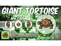 Terraria AFK Giant Tortoise Farm Get the Turtle Armor 1 3 items