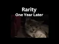 Rarity One Year Later