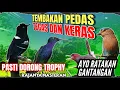 Download Lagu MASTERAN SPESIAL LEDAKAN 2024 KOMPILOASI MEWAH UNTUK SEMUA JENIS BURUNG MURAI BATU DAN CUCAK IJO !!