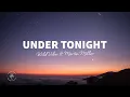 WildVibes - Under Tonight (Lyrics) ft. Martin Miller