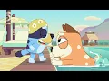 No More Dobbing | Swim School | Bluey