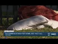 As Lions Park cleared some find alternative housing solutions