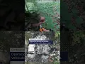 Download Lagu 🚀🇺🇦 Fuerzas especiales de Ucrania atacan en Rusia | Golpe mortal al ejército ruso