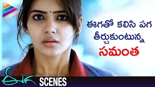 Download Samantha and Nani Taking Revenge on Sudeep | Eega Malayalam Movie Scenes | EECHA | Telugu Filmnagar MP3