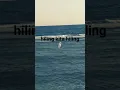 Download Lagu hiling kita hiling🗿 wwkkwkwkw
