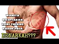 Download Lagu Fakta , Wanita Diciptakan dari Tulang Rusuk Pria ?