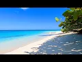 Peaceful Beauty 6 Hours of Beautiful Shoal Bay