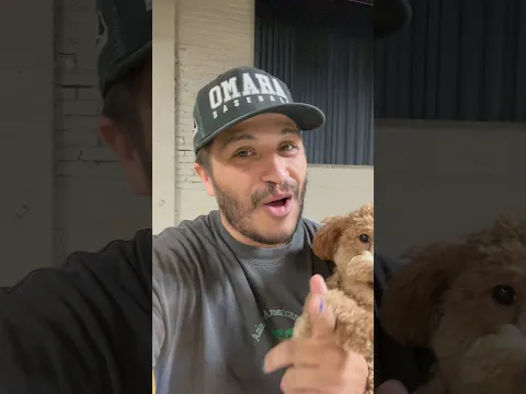 Let’s see who the most skilled dog is at dog daycare, update video!