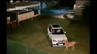 برنامج الكنج وصل المهرة البحرينيه 