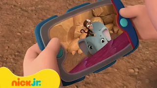 מפרץ ההרפתקאות 🐾: פיל לכוד | ניק ג'וניור