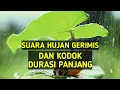 Download Lagu SUARA KODOK BANGKONG SAAT HUJAN DURASI PANJANG