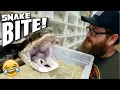 FUNNY REACTION TO A SNAKE BITE ERIC GETS BITTEN BRIAN BARCZYK
