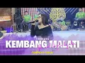 Download Lagu KEMBANG MALATI ( ABIEL JATNIKA ) SATRIA R PRO | LIVE ANGKRINGAN TEH ITA