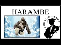 Harambe Died 10 Years Ago