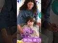 DolliBu Plush Toy Wonders - Explore the Cutest Stuffed Animals Collection for Kids Collectors