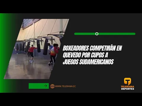 Boxeadores competirán en Quevedo por cupos a juegos Sudamericanos
