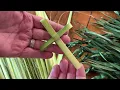 Palm Cross Tutorial