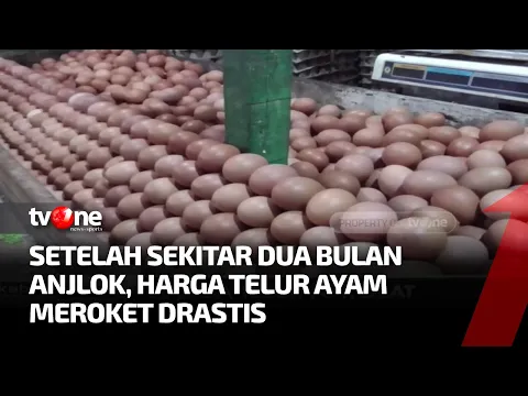 Waduh! Sempat Anjlok, Kini Harga Telur Naik Hingga Rp25 Ribu