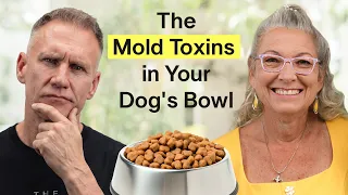 Best Dog & Cat Food: What a Holistic Vet Actually Feeds - Dr. Judy Morgan | TUH #298
