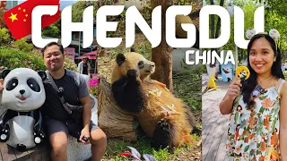 探访中国熊猫之城后，我们有了这些发现：成都旅行视频