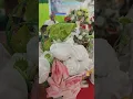 Download Lagu Kami perlu Kau Tuhan