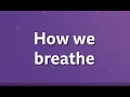 How We Breath Ventilation KS3 BBC Bitesize