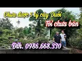 Download Lagu SH.10634. Chưa trả tới 5 tỷ cây Duối này tôi chưa bán đâu. Người giời 0986.668.330