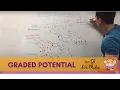 Graded Potential Neuron